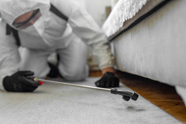 Professional Ant Control technician working in Weed, CA