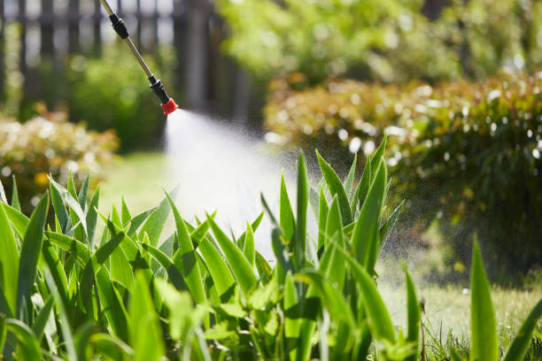 24/7 Emergency Ant Control experts in Weed, CA