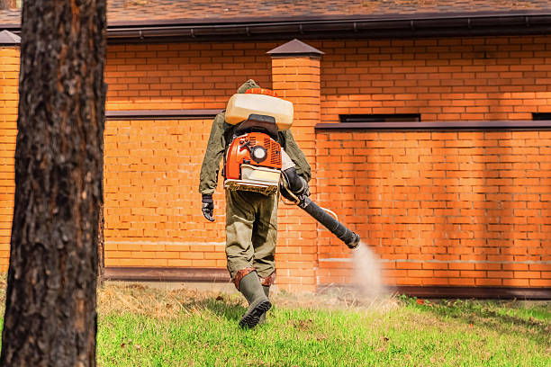 Top rated local Ant Control specialists in Weed, CA